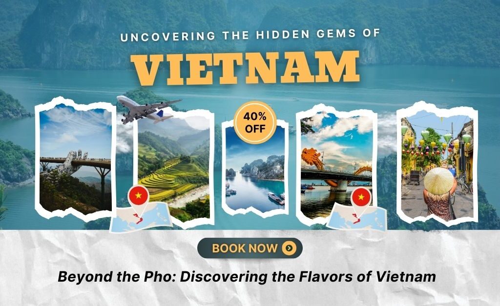 Vietnam Travel Guide